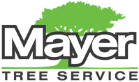 Mayer Tree Service, Inc. Logo