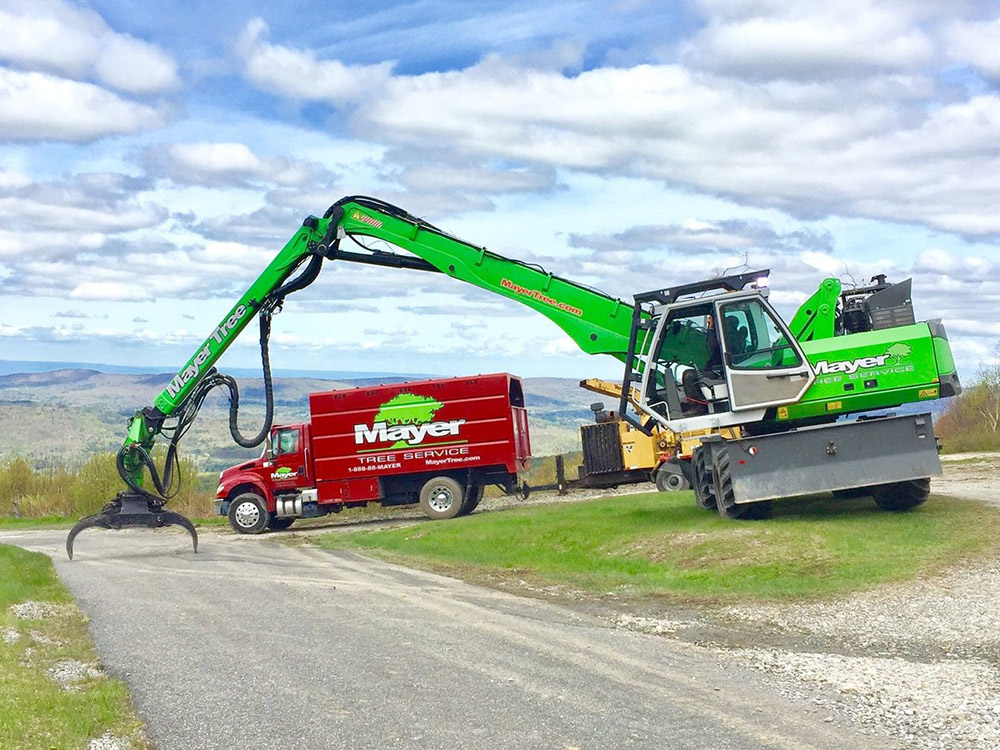 Tree removal crane truck
