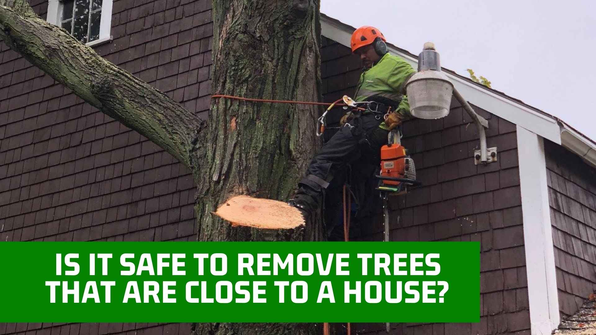 Is It Safe To Remove Trees That Are Close To A House