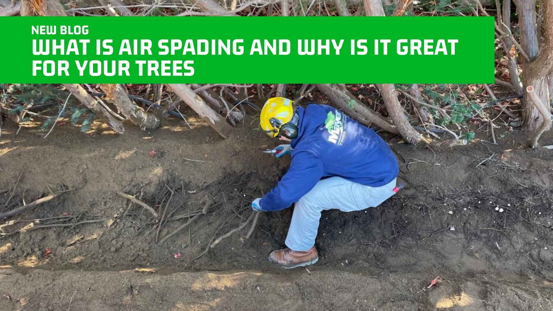 What is Air Spading and Why is it Great for Your Trees?