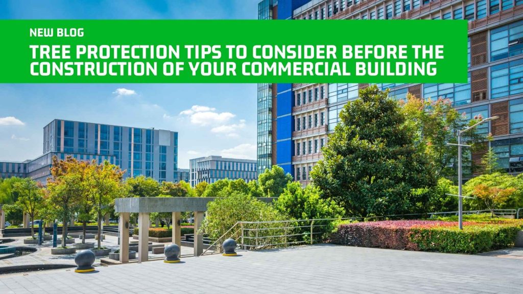 Tree Protection Tips to Consider Before the Construction of Your Commercial Building